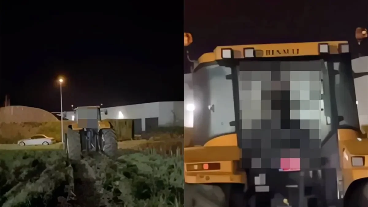 Когда сельская идиллия прерывается неожиданным событием