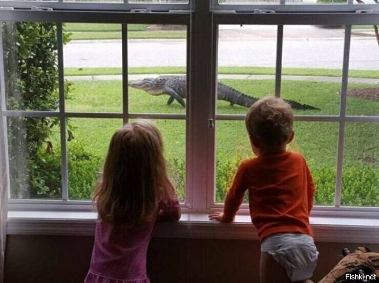 По улице ходила большая крокодила