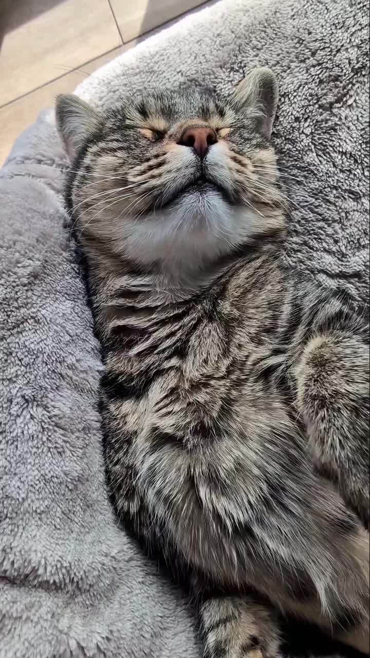 Обеденный сон)