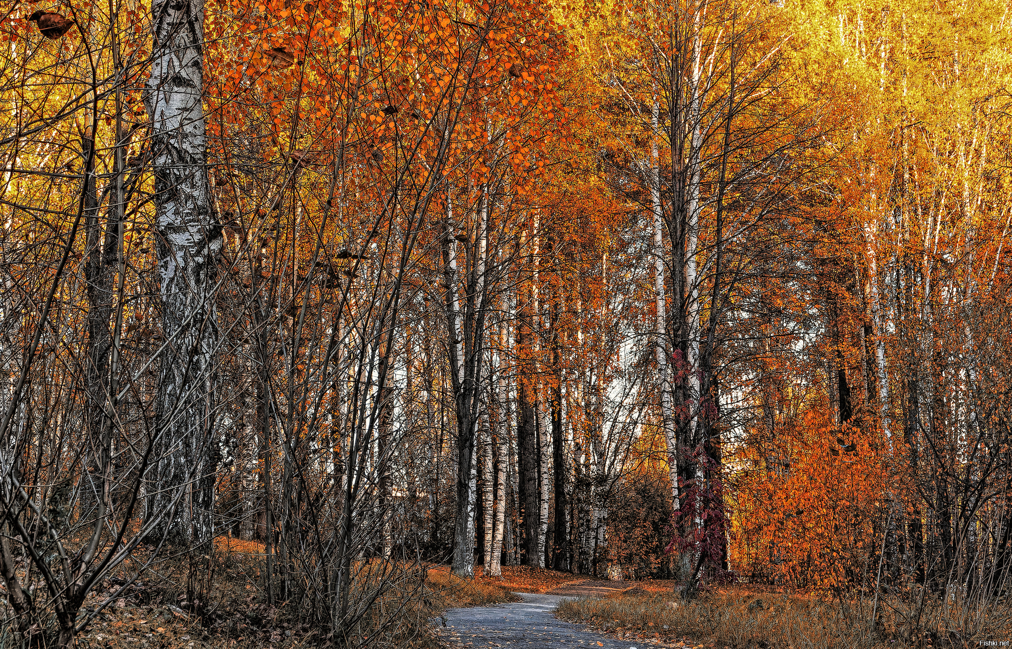 Средний Урал, город Лесной