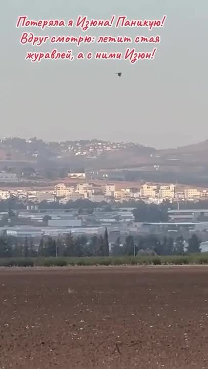 Изя оборзел в конец