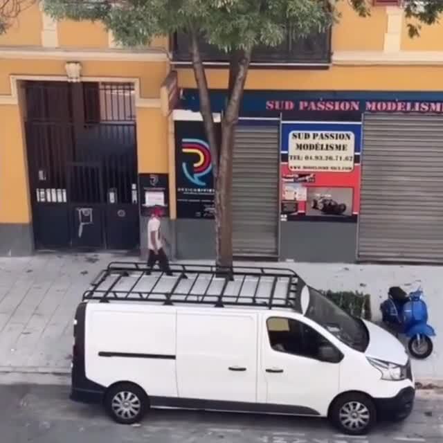 закон и порядок