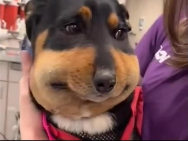 Года в три, я дома бегал по дорожки к калитке и обратно