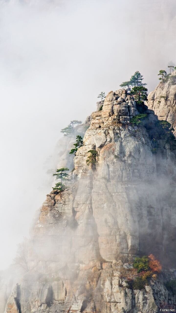 Демерджи, Крым