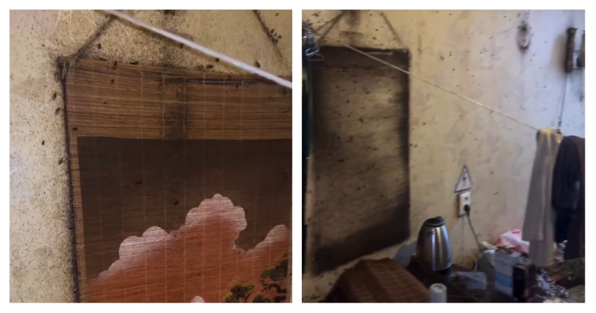 Тараканы захватили комнату в самарском общежитии