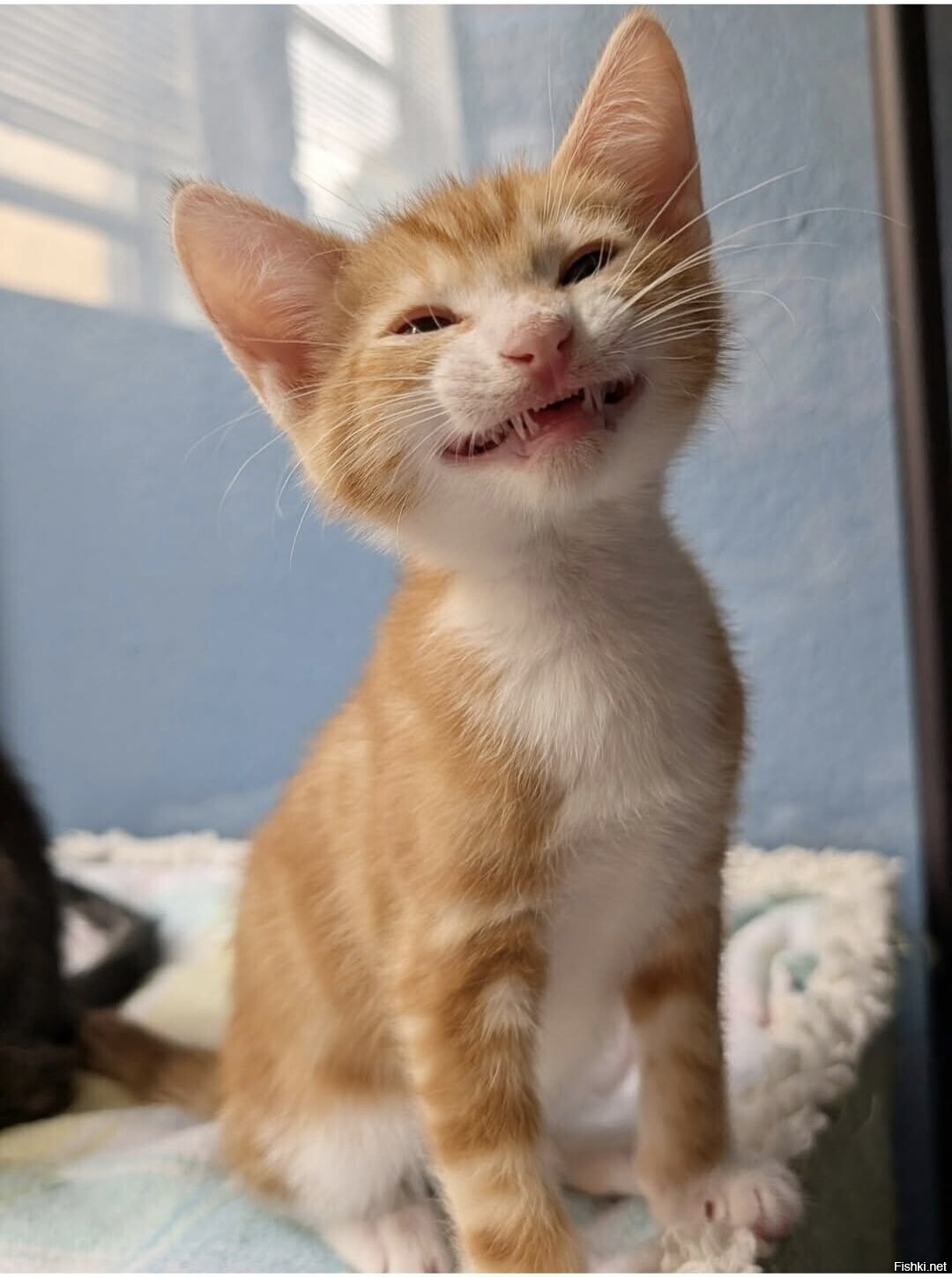 Доброе утро