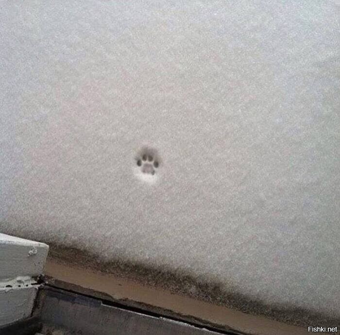 Коротко о погоде