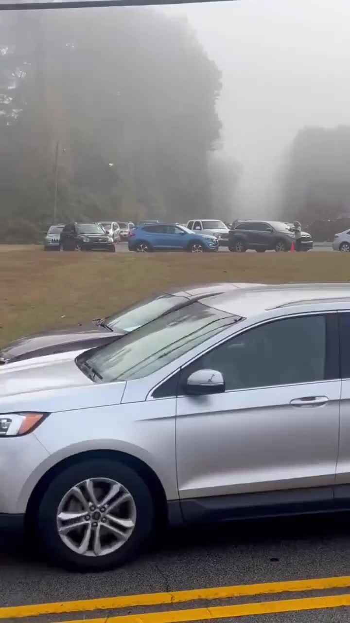 Главная причина пробок - это низкие умственные способности некоторых водителей