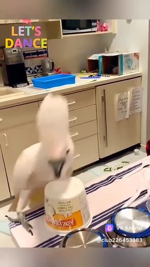 хорошие мальчики и девочки :)