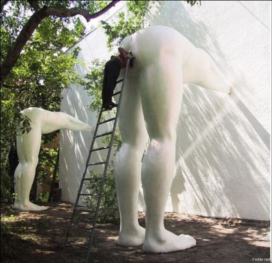 Что здесь происходит