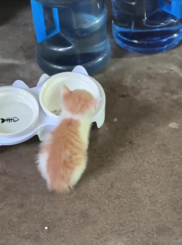 Спокойной ночи