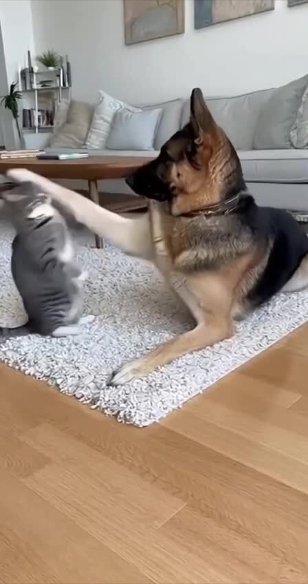 «А нас за що