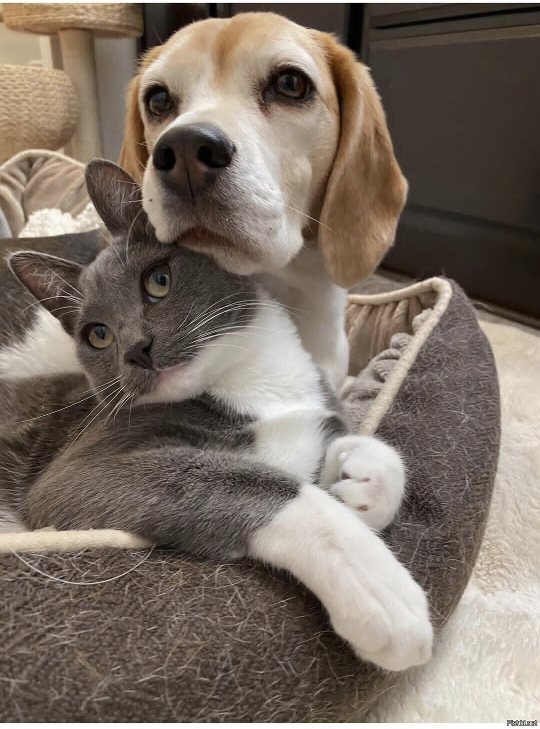 Доброе утро