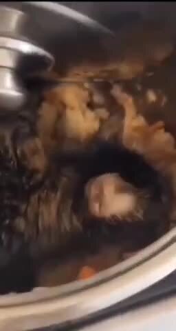 Сегодня без плова