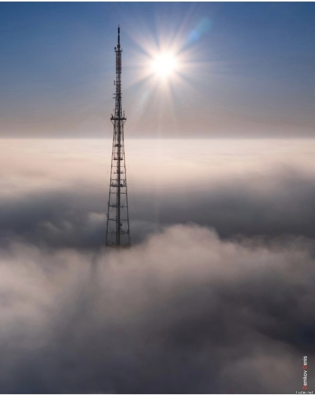 Выше тумана