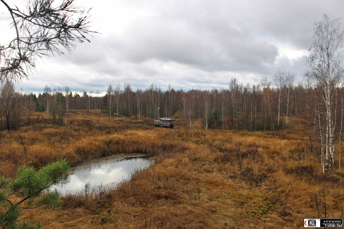 Самоходная электростанция ЭСУ2А-987 следует на торфополя, УЖД Мезиновского т/...