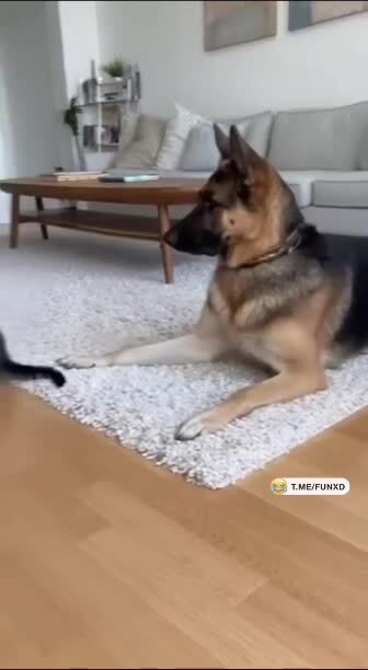 Ещё и обиделся )))