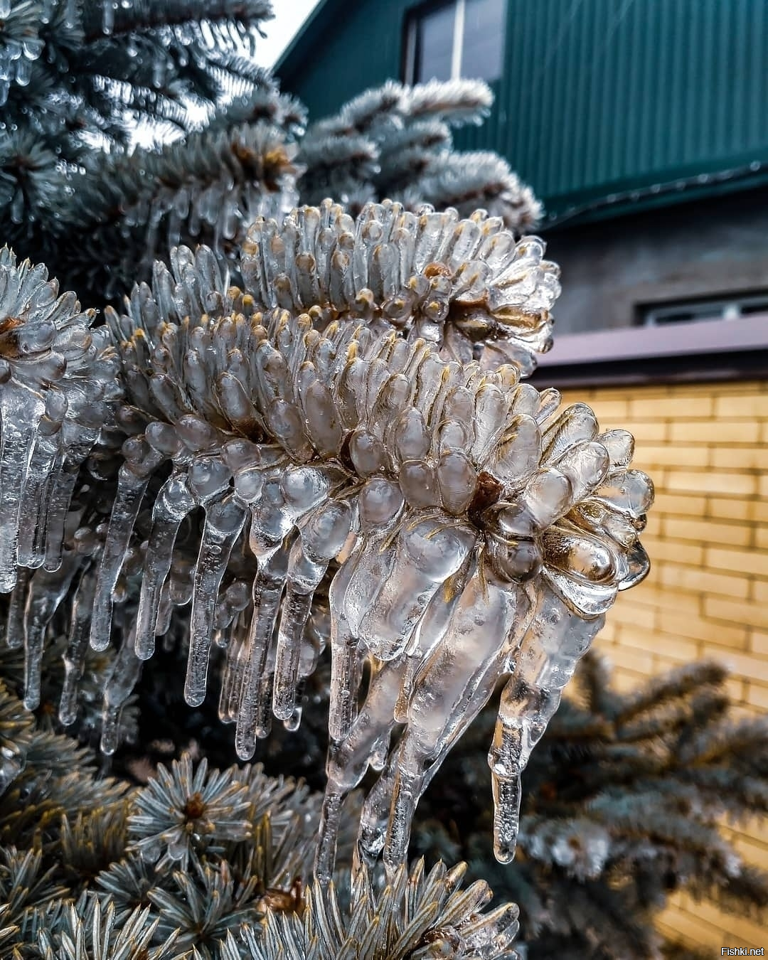 "Леденцы", Ставропольский край, Ессентуки