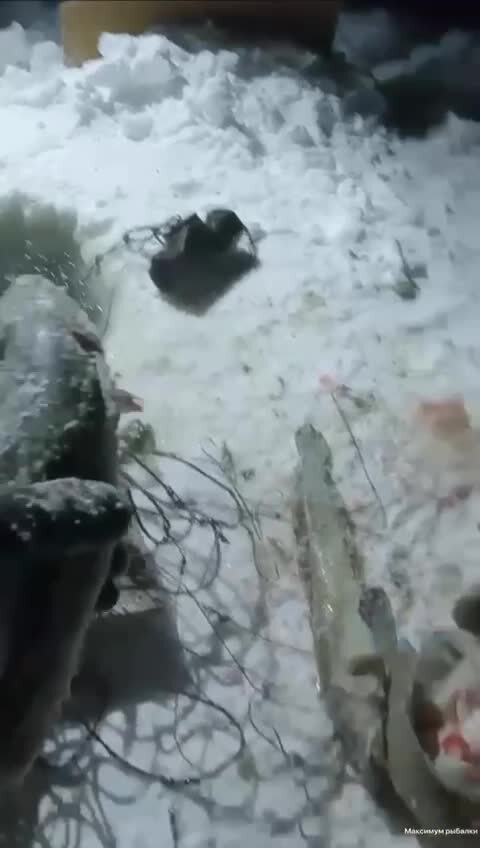 На рыбалке в Туруханском районе Красноярского края