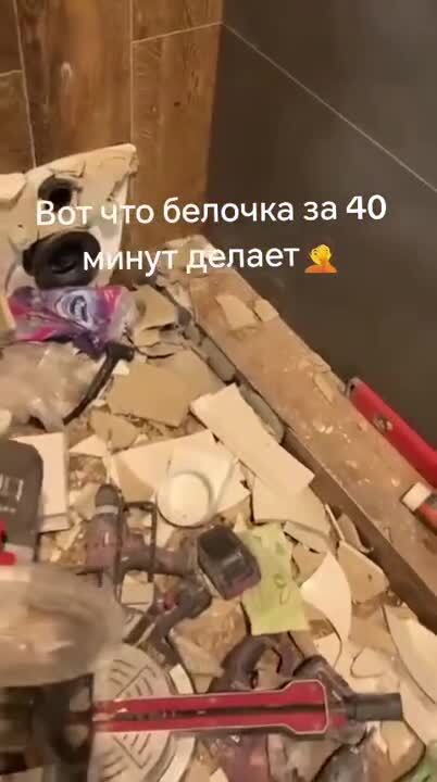 Говорят, бригада делала отделку квартиры и у одного работяги кукуня поехала