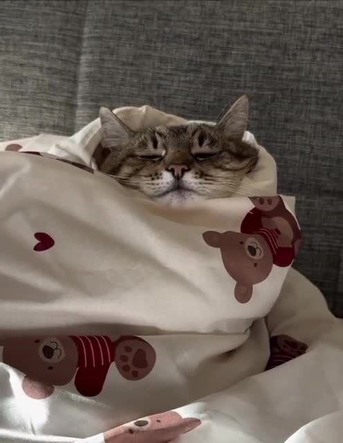 Спокойной ночи