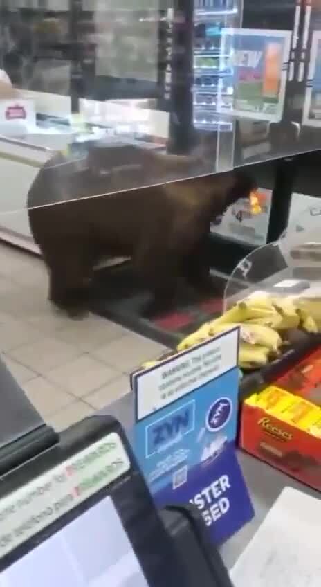 На мой счет, дочка