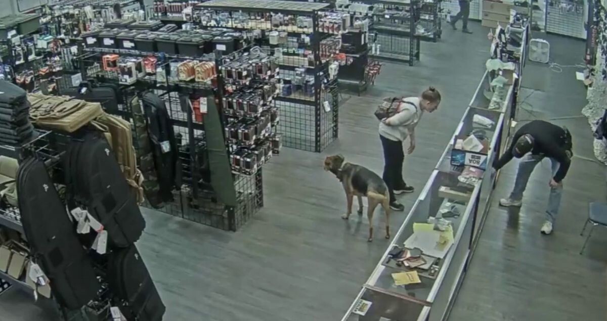 Бездомная попыталась похитить пистолет из оружейного магазина