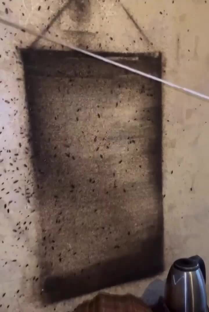 Это будет жестко