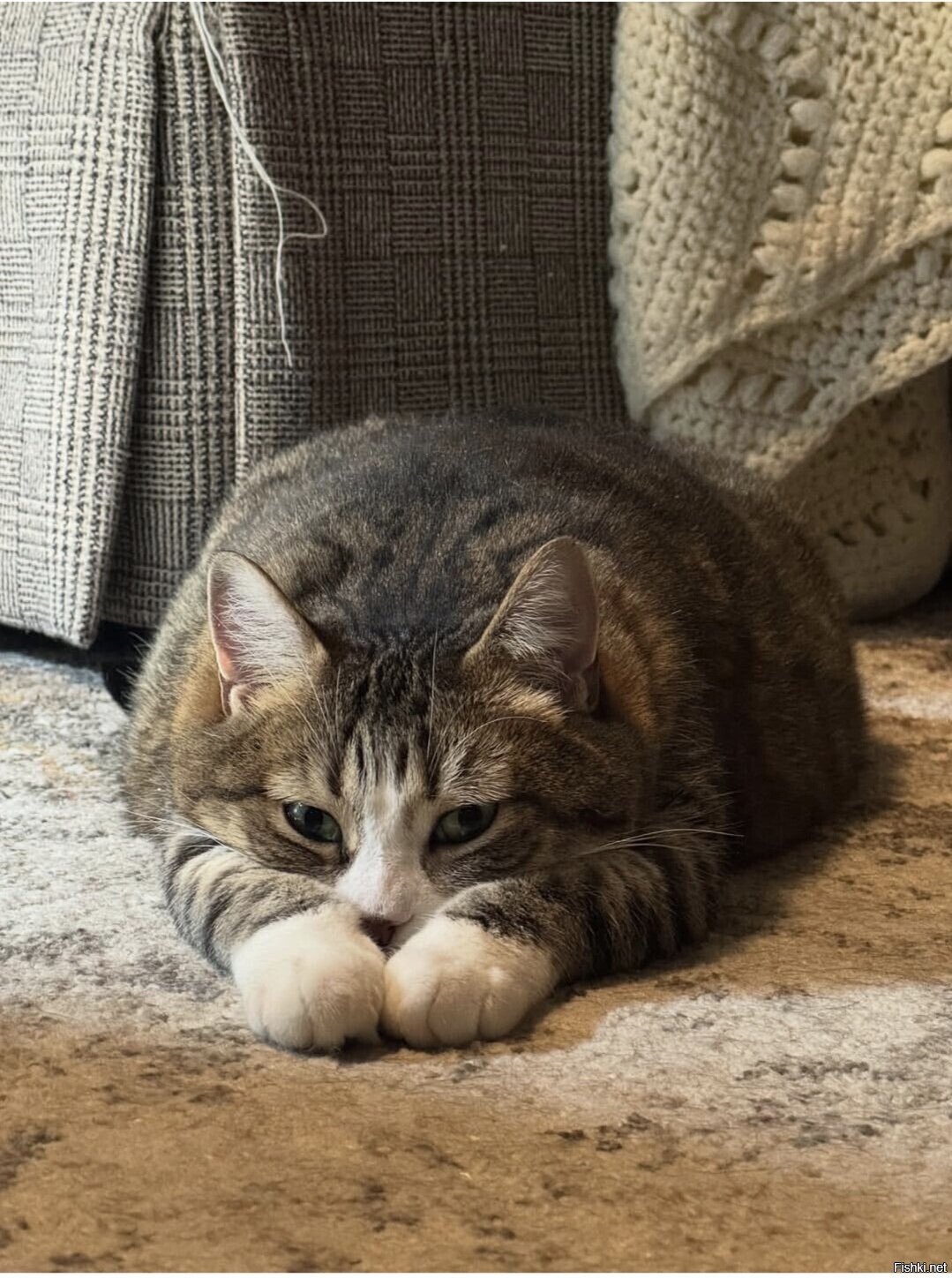 Доброе утро