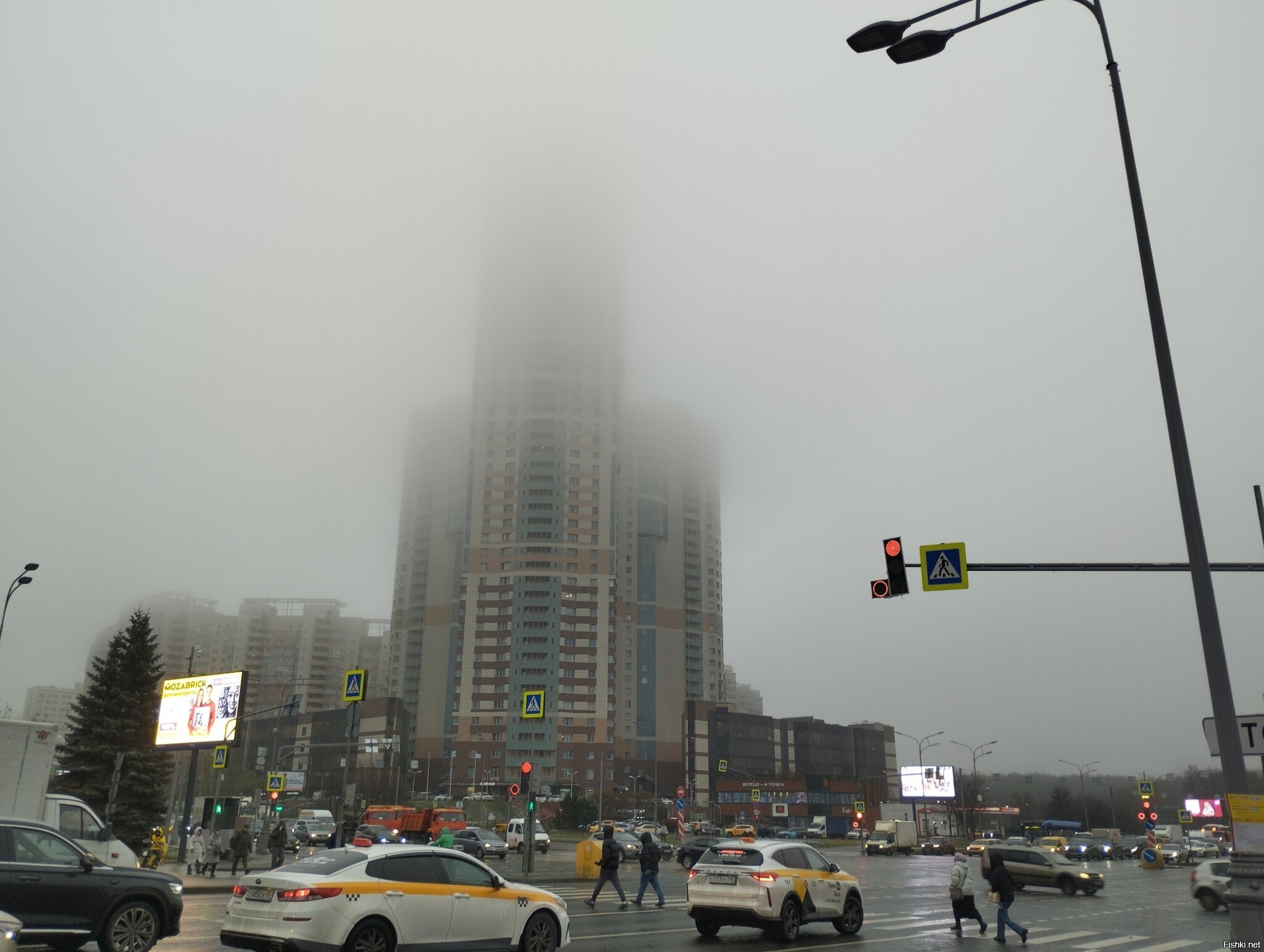 На последних этажах орут возможно - ёжик 