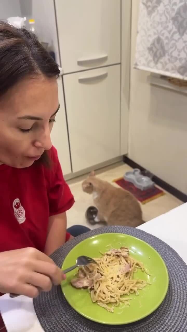 Время обеда, кожаная