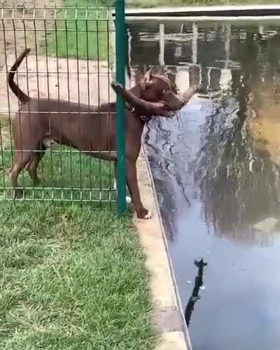 Упорство и труд