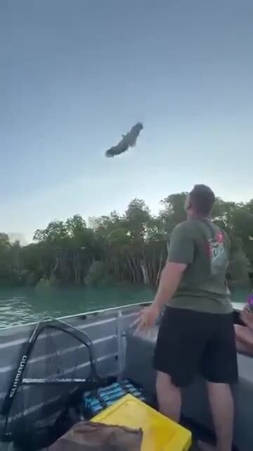 Птичке - не жалко