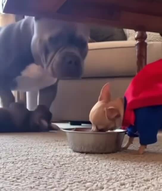 На кого наехал