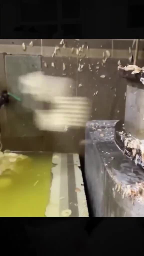 Производство чипсов в Индии