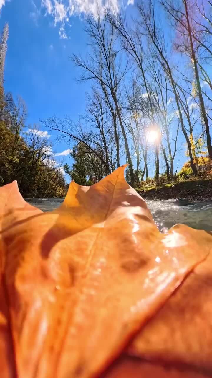 Видео от плывущего листика)