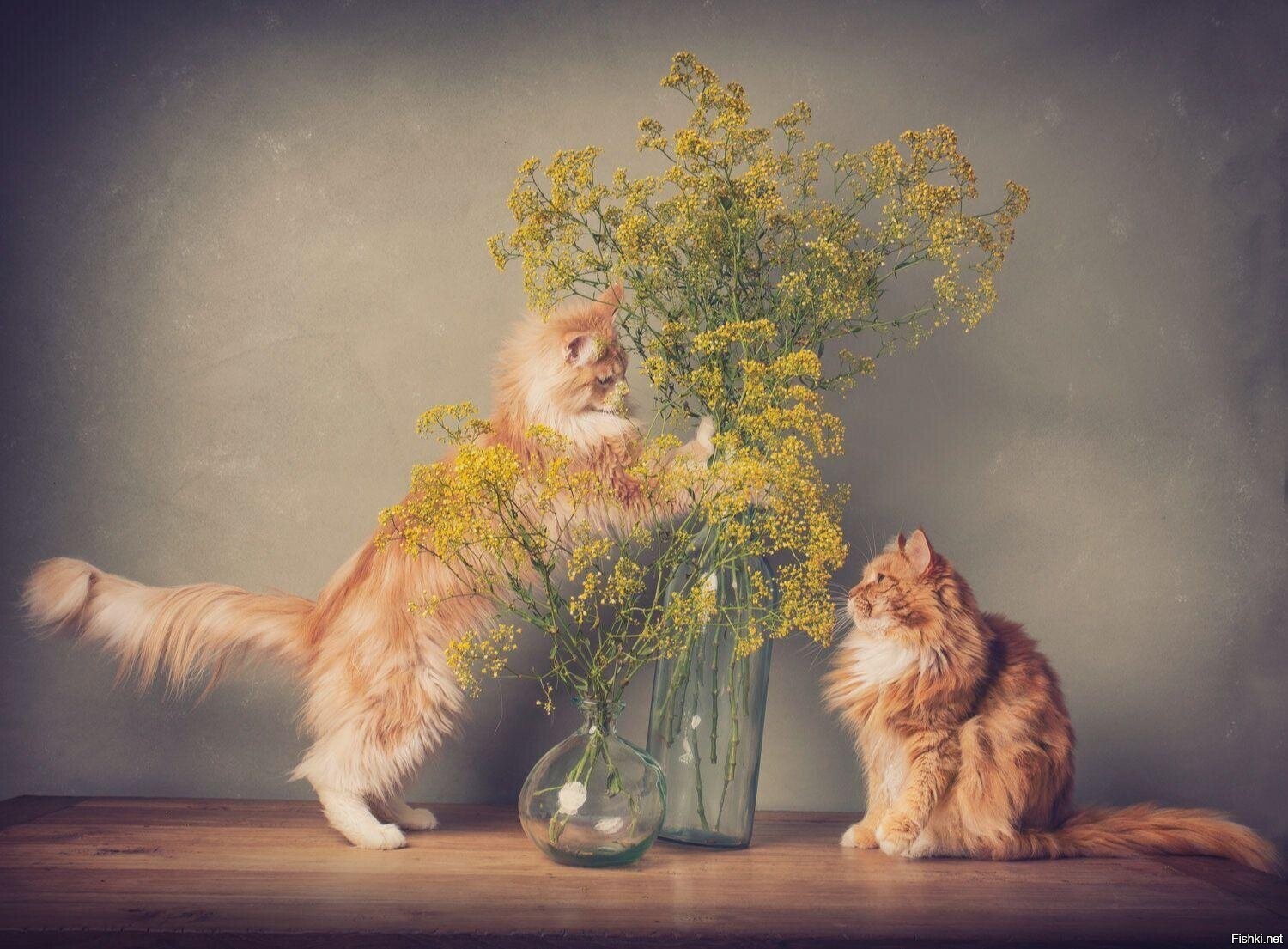 Вот тебе букет