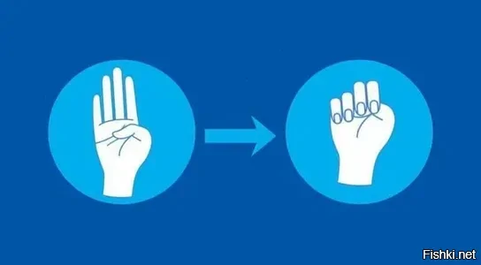 Захожу в солянку, листаю ленту пока не надоест