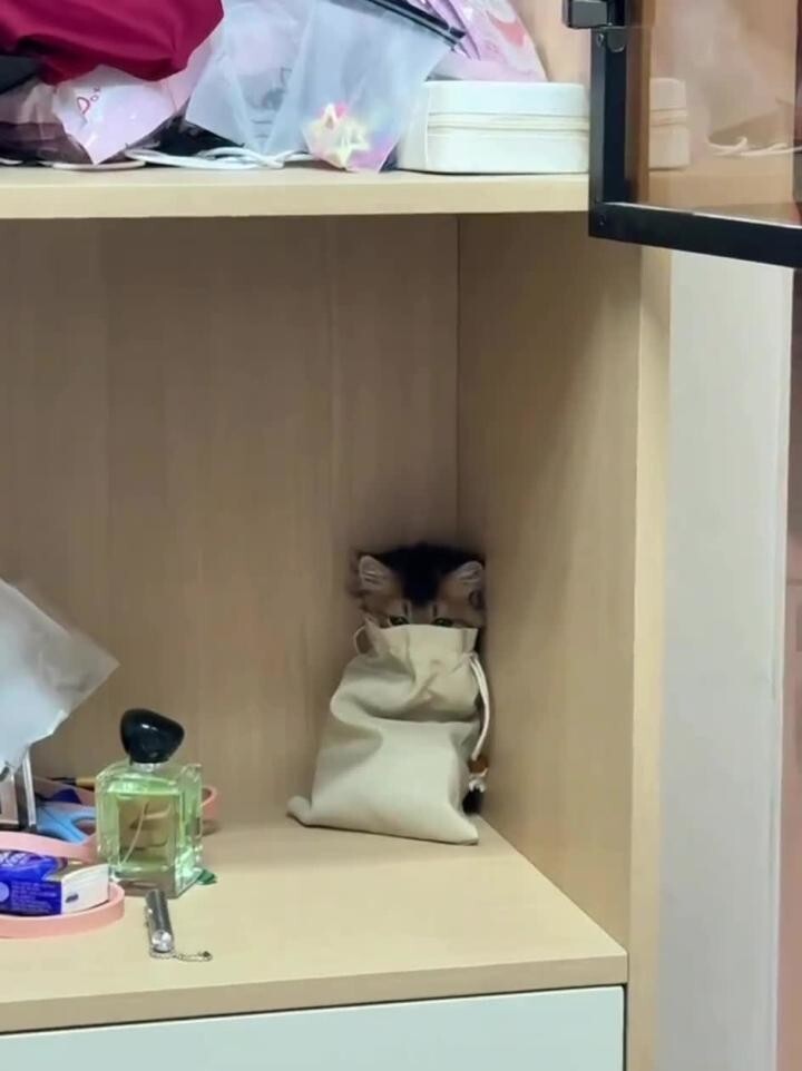 Доброй ночи