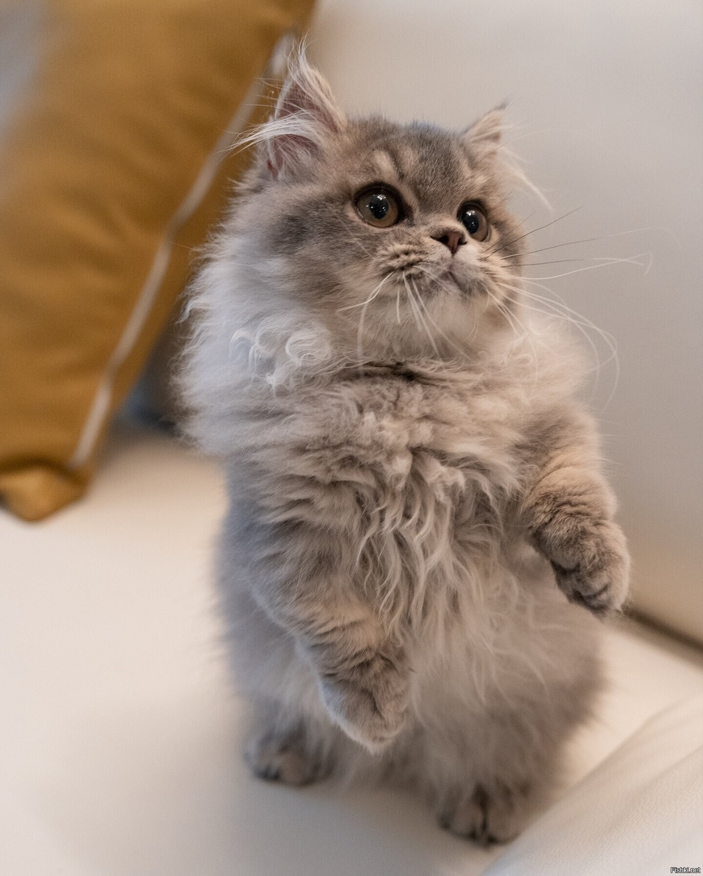 Доброе утро