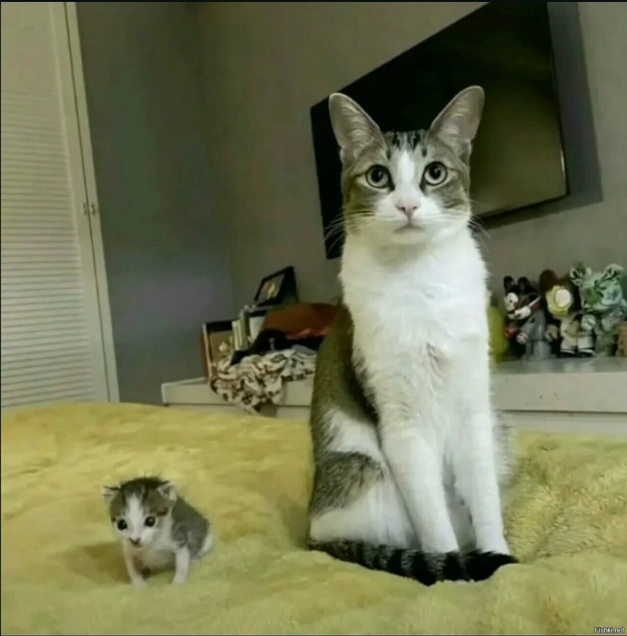 Шо это ковыряется