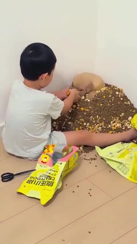 Вот уж действительно - завалили жратвой