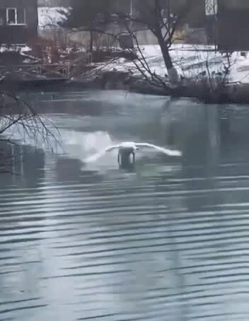 Сволочь краснокнижная