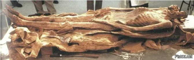 Простой египетский паренёк