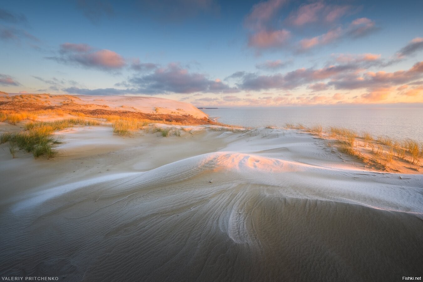 Куршская коса