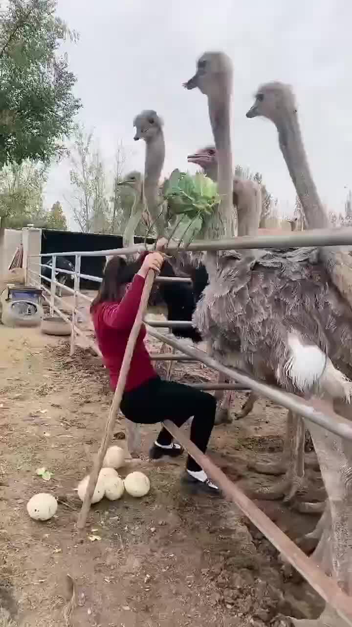 Нашла способ