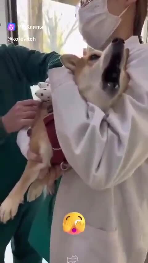 Боятся &quot;докторов&quot; 