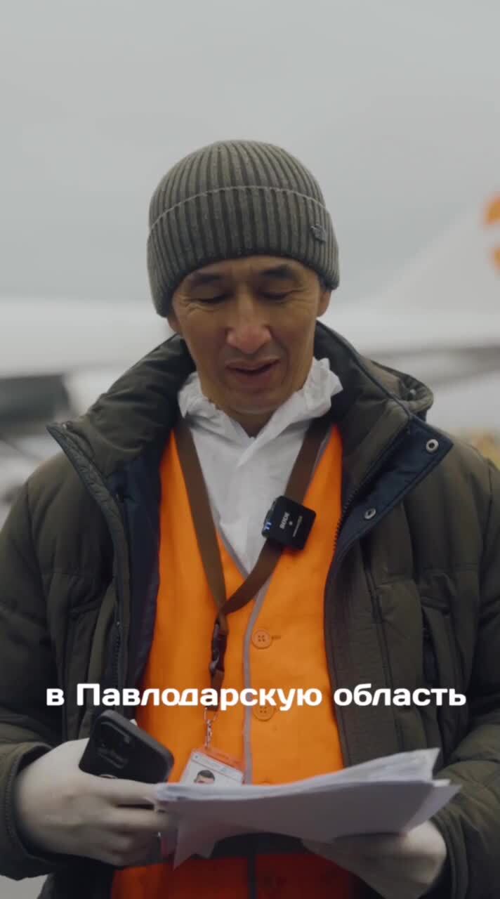 В Астану прилетели 165 элитных коров из Дании