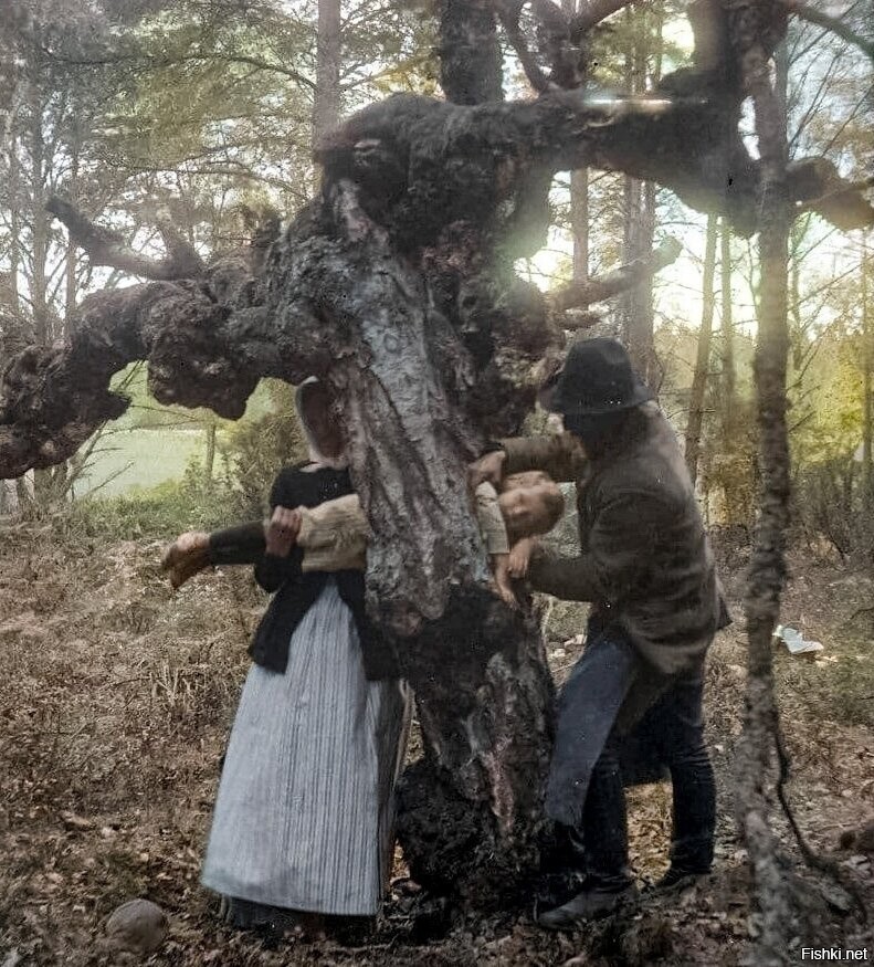 Суеверные люди пропихивают ребёнка