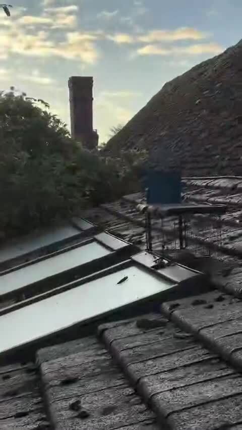 Парень поставил ловушку на крыше, чтобы поймать крысу